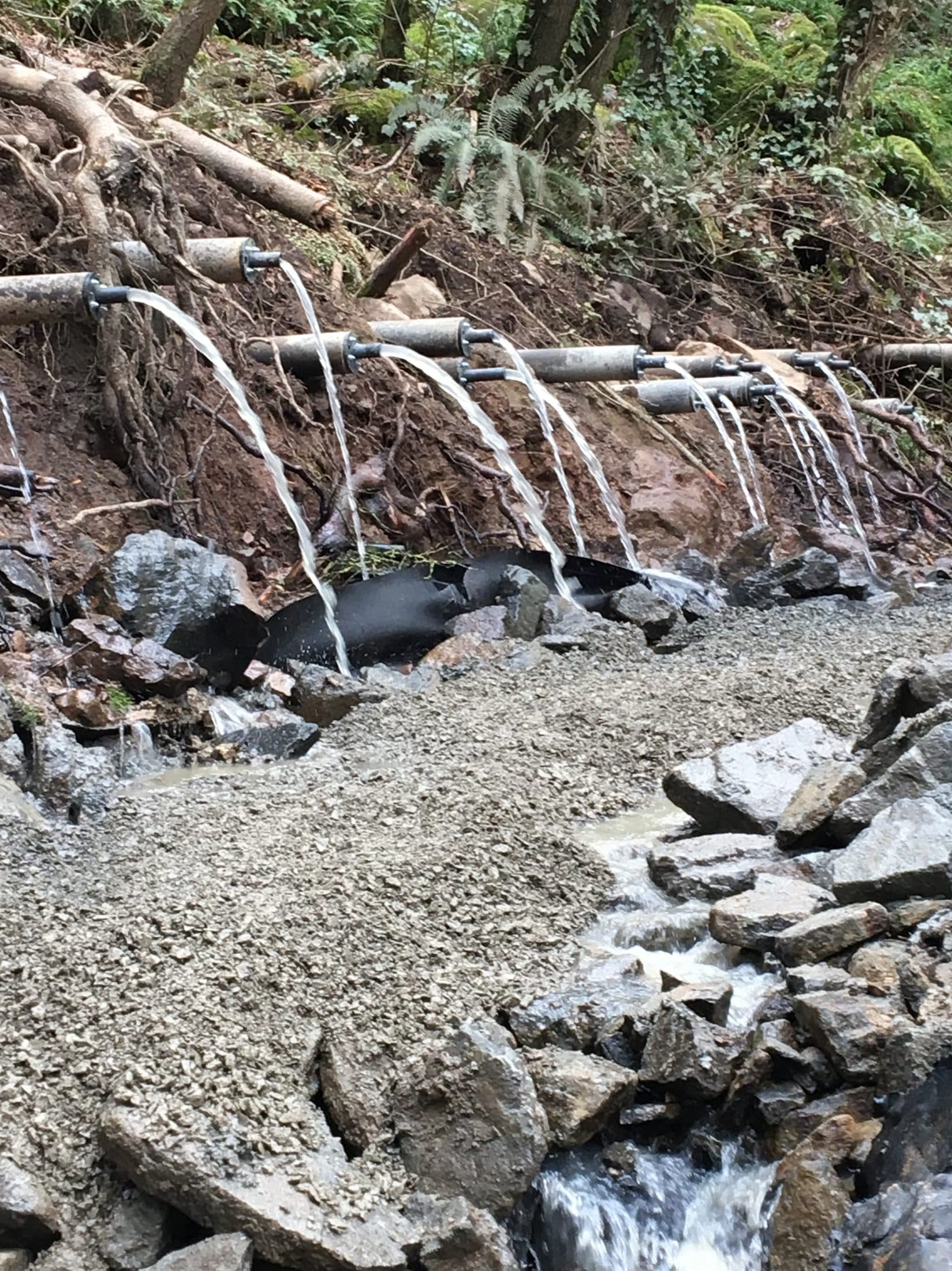 Horizontal drain outlets discharging intercepted groundwater on US101